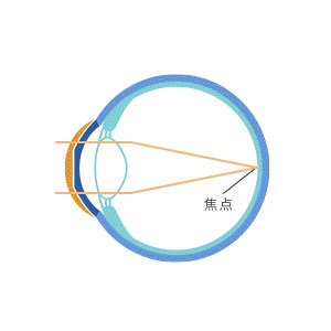装用中